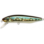 Pontoon-21 Dexter Minnow 005