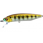 Pontoon-21 Dexter Minnow 007