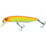 Pontoon-21 Dexter Minnow S19