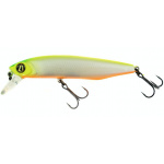 Pontoon-21 Dexter Minnow S62