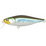 Pontoon-21 Kalikana 005