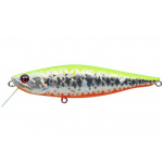 Pontoon-21 Kalikana R33