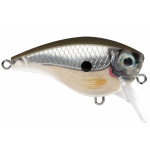 Rapala BX Big Brat PGS