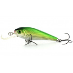 River2Sea Fingerling Shad HB04