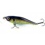 River2Sea Tactic Shad HC09