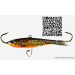 Shark Jigging Roach 002 Black Tail