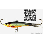 Shark Jigging Roach 012 Black Tail