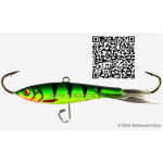 Shark Jigging Roach 017 Black Tail