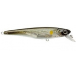 Storm WildEye Minnow TSAY