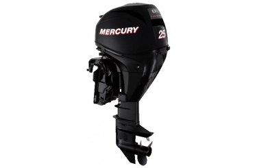 Mercury F25 Efi