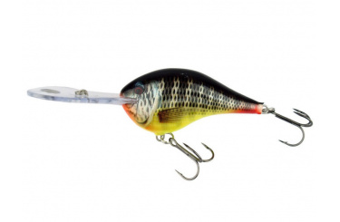 Rapala Dives-to Metal Sure Set 20 Fishing Lures