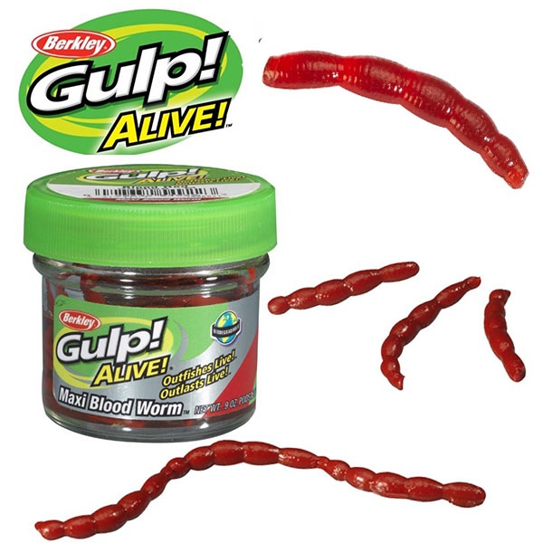 https://hosports.eu/images/products/berkley-gulp-alive-bloodworm-maxi-red-1494594318-5915b30e1d758.jpg