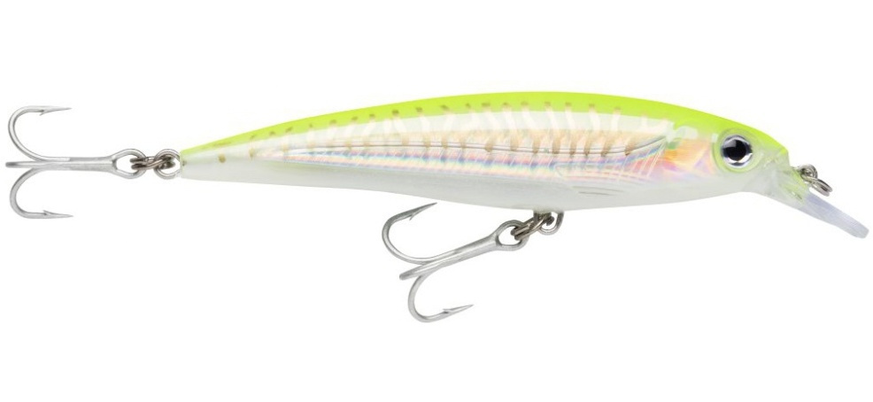 Rapala X-Rap Saltwater 12 cm